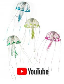 Ebi Jelly Fish - Kwal Small