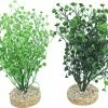 De Boon Sydeco Aquarium Planten Water Wild Grass