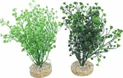 De Boon Sydeco Aquarium Planten Water Wild Grass