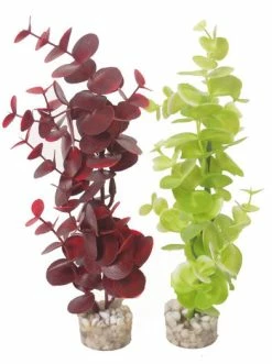 De Boon Sydeco Aquarium Planten Eucalyptus