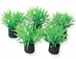 SuperFish Nano Aquariumplanten 1 SuperFish Nano Aquariumplanten