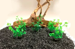 SuperFish Nano Aquariumplanten 5cm