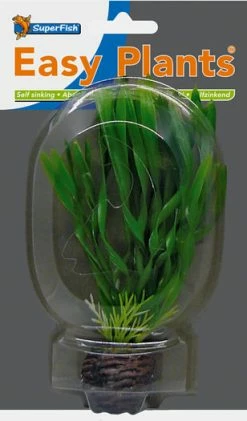 SuperFish Easy Aquariumplanten Voorgrond 6