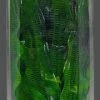 SuperFish Easy Aquariumplanten Hoog 5