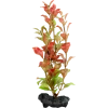 Tetra Decoart Plant Ludwigia Red S