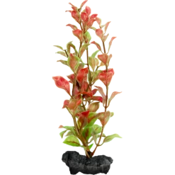 Tetra Decoart Plant Ludwigia Red S