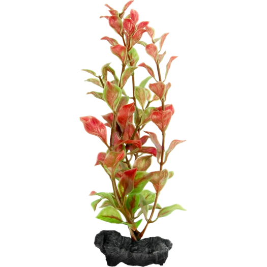 Tetra Decoart Plant Ludwigia Red S 1 Tetra Decoart Plant Ludwigia Red S
