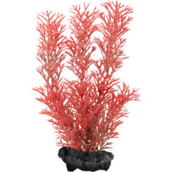 Tetra Decoart Plant Foxtail Red S