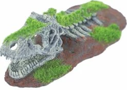 De Boon Ornament Skelet Dinosaurus