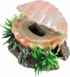 De Boon Ornament Schelp Met Luchtsteen