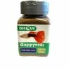Discus Guppyvoer Korrels 100 Ml