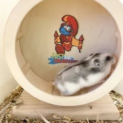 Duvo Jetpack Smurf Houten Loopwiel 15 Cm