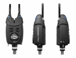 Delphin Beetmelder Memory