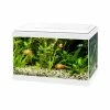 Ciano Aquarium 20 Wit